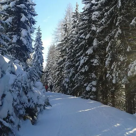 Hutegger Апартаменти *