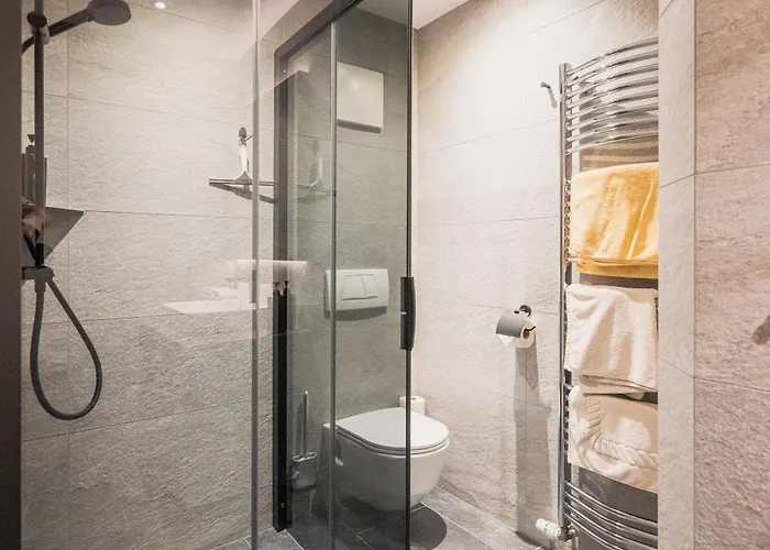 Hutegger 公寓 斯拉德明